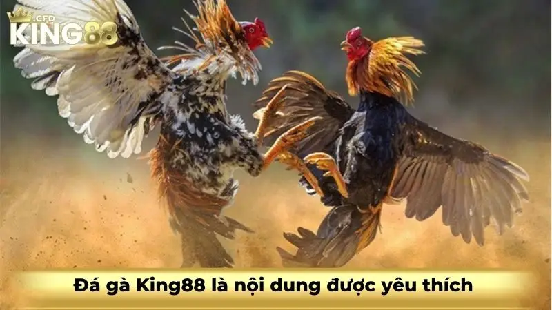 Đá gà King88 là nội dung được yêu thích
